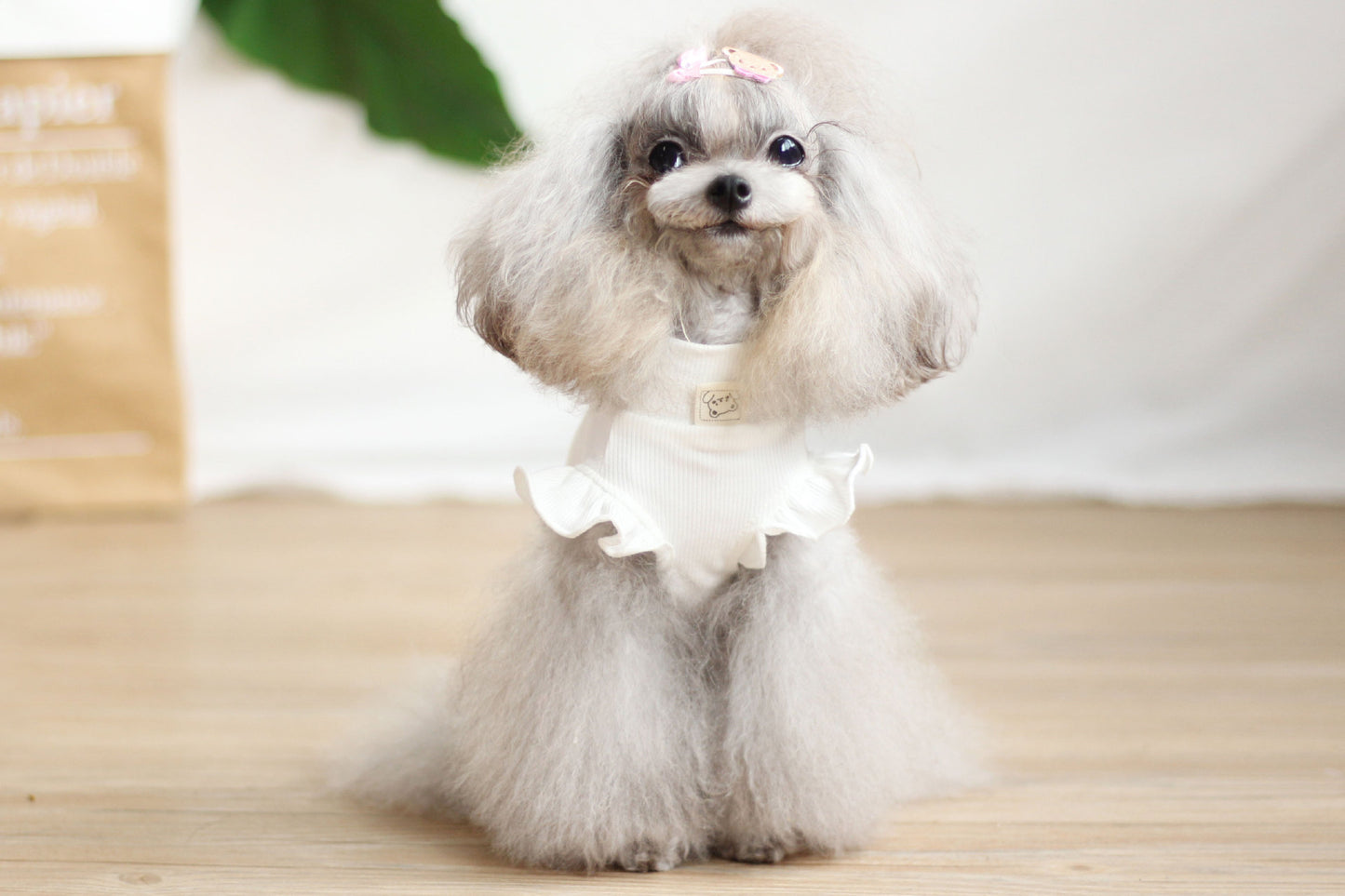 【犬用サスペンダーワンピース】小型犬向けカートゥーン風スカート|かわいいペット服