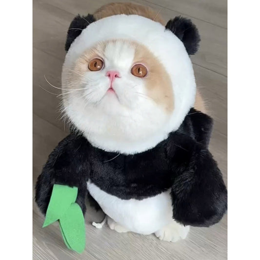 うさにゃんコスチューム
