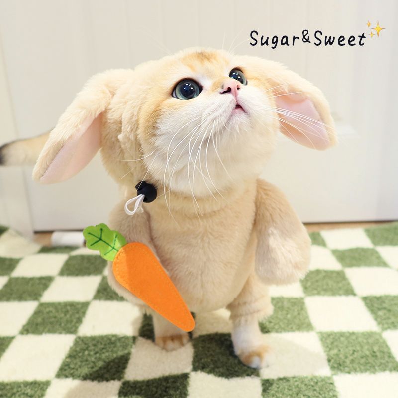 うさにゃんコスチューム