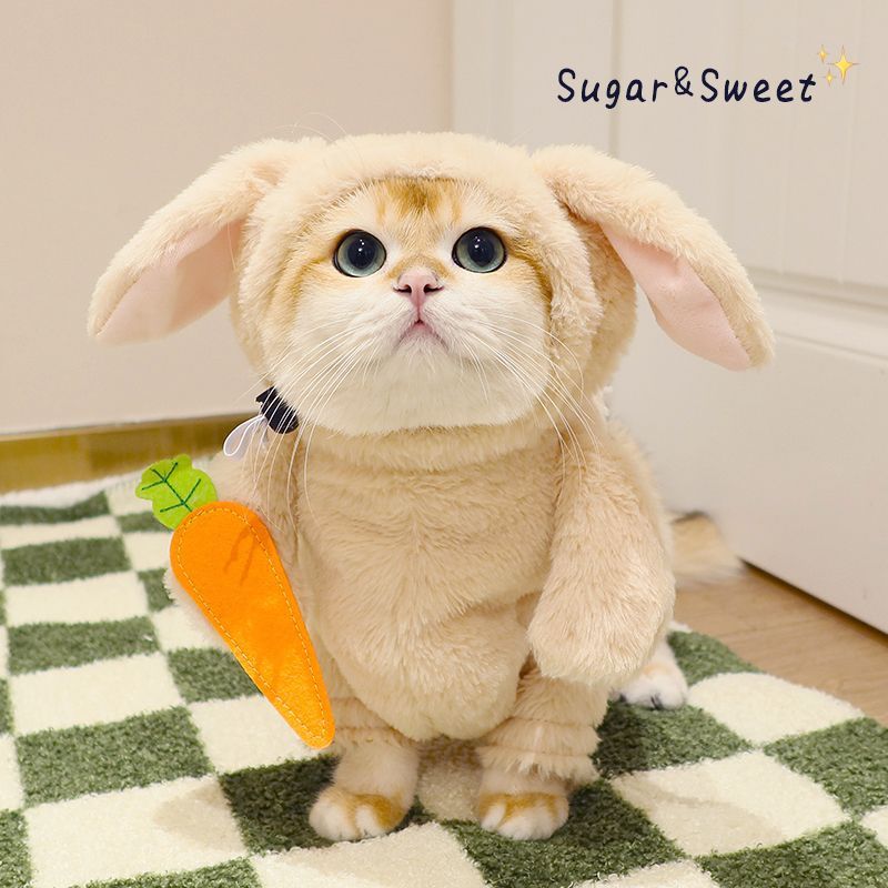 うさにゃんコスチューム