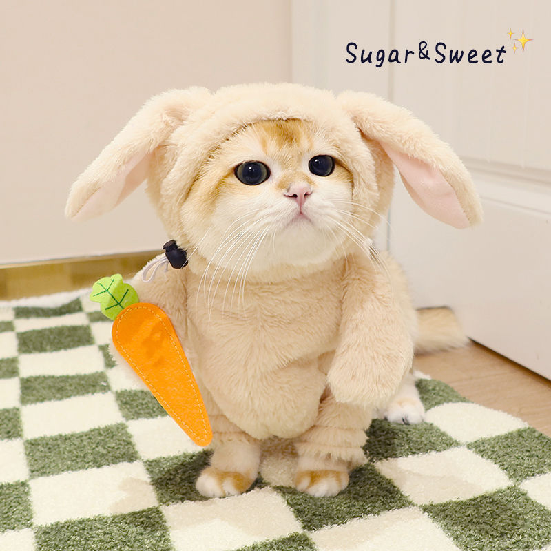 うさにゃんコスチューム