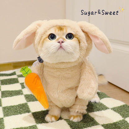 うさにゃんコスチューム